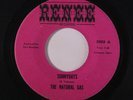 NATURAL GAS: Sunnydays /	Rube 	 45 (disc close to M-) Rock & Pop