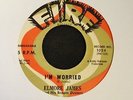 R&B ROCKER Elmore James Fire 1024 I’m Worried and Rollin And Tumblin