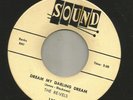 DOOWOP R&B BW/ LATIN CHA CHA- REVELS-  DREAM MY DARLING DREAM -HEAR -1956 SOUND