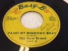 RARE NEW ORLEANS GARAGE 45 THE NEW BREED PAINT MY WINDOWS GRAY BUSY-B ZAP 5