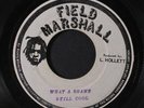 STILL COOL: What A Shame / Version 45 (Jamaica) Reggae