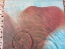 Pink Floyd MEDDLE Mobile Fidelity MFSL Vinyl LP David Gilmour Roger Waters MOFI