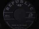 CHRISTINE KITTRELL: Snake In The Grass / The Price You Pay For Love 45