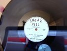 78 The Five Scalders - If Only You Were Mine  Sugar Hill Very Rare VG++
