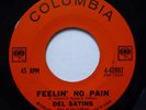 DEL SATINS 45 Feelin' No Pain / Who Cares COLUMBIA doowop Pj429