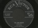 Rare Blues 45   Terry Timmons   Evil Eyed Woman   RCA Victor   Listen