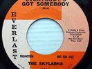 SKYLARKS doowop EVERLAST mint minus 45 JEANNIE / EVERYBODY'S GOT SOMEBODY PJ519