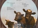 Pink Floyd, Atom Heart Mother, stunning LP Picture disc LP Vinyl Record