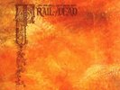 ...And You Will Know Us By The Trail Of Dead - Source Tags & Codes DOUBLE VINYL