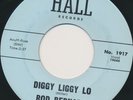ROD BERNARD Diggy Liggy Lo / Clock (Rockabilly) w/ Johnny Winter (Hear It) 1963