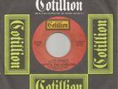 PATTI AND THE LOVELITES - LOVE BANDIT - EX+ COTILLION 7