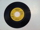 RARE CLASSIC ROCK - LOOKING GLASS - BRANDY - 45 RPM - (ORIGINAL)   N MINT