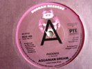 AQUARIAN DREAM PHOENIX c/w ONCE AGAIN  BUDDAH RECORDS 'A'LABEL DEMO 1976