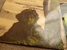 ? EUMIR DEODATO OS CATEDRATICOS 73 LATIN SOUL BOSSA FUNK BRAZIL PRESS LISTEN