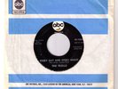Chicago garage punk 45 The Trolls Every Day and Night ABC 10823 1966 Johnny Pate
