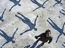Absolution by Muse (Vinyl record 2 lp's)