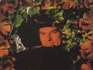 A Sense Of Wonder Van Morrison UK vinyl LP album record 843116-1 POLYDOR 1984