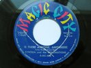 CYNTHIA & THE IMAGINATIONS northern soul 45 Is There Anyone Anywhere Magic City