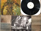 As Tall As Lions - Into the Flood Vinyl LP 2008 Original