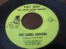 THE CAMEL DRIVERS   RARE FUZZ DETROIT GARAGE TOP DOG LBL THE GRASS LOOKS GREENER