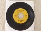 RARE  The Little Bits 45 - Girl Give Me Love & Spoofin   60's Garage Band