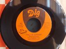 The Diamonettes Don't be Surprised/Rules are Made to be Broken used 7