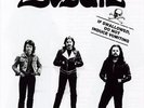 BUDGIE (METAL) IF SWALLOWED DO NOT INDUCE VOMITING NEW VINYL