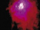 PORCUPINE TREE UP THE DOWNSTAIR NEW VINYL