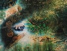 PINK FLOYD A SAUCERFUL OF SECRETS [LP] NEW VINYL