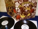 2 LP SMALL FACES /THE AUTUMN STONE -Deutsche IMMEDIATE 1976 -Vinyl:NEAR MINT/EX