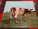PINK FLOYD LP ATOM HEART MOTHER HARVEST ROGER WATERS DAVID GILMOUR 1970