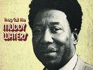 they call me MUDDY WATERS u.s. CHESS LP CH-1553_orig 1971 1st label NEAR MINT