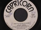 JOHNNY JENKINS: I Walk On Guilded Splinters / Mono 45 (dj, samples, drum break,