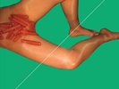 PEACHES RUB [LP] * NEW VINYL