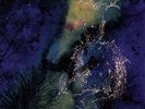 BARDO POND UNDER THE PINES [DIGITAL DOWNLOAD CARD] * NEW VINYL