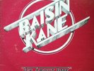 RAISIN KANE - It's About Time (1978 private press TN Southern rock/guitar rock)