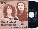 T.REX Hot Love Danish 45PS 1971 Marc Bolan