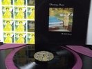Throwing Muses ?– The Real Ramona             4AD ?– cad 1002  UK 1991   vinyl