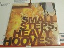 Dear and the Headlights Vinyl Small Steps, Heavy Hooves BRAND NEW  LP Record &
