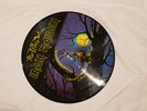 IRON MAIDEN FEAR OF THE DARK PICTURE DISC UK EDITION