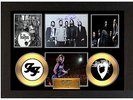 FOO FIGHTERS - A3 SIGNED FRAMED GOLD VINYL COLLECTORS CD DISPLAY PICTURE