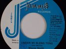 WAYNE SMITH: Under Mi Sleng Teng JAMMYS Reggae Rare 45 7” HEAR