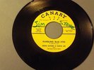 EDDIE ALFORD + CURTIS LEE WITH THE BLUE VALLEY BOYS - CANARY BLUEGRASS 45 NM