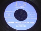 Jaynetts 45 J&S 1468 Chicken Chicken Crane Or Crow 1964 Girl Group M-