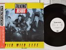 TALKING HEADS WILD WILD LIFE EMI S14-151 Japan OBI Promo Vinyl 12