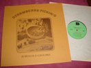 BUREMAN & O'ROURKE-Strawberry Pickins-orig 1974 private U.S. rural folk rock LP