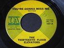 Thirteenth Floor Elevators   You're Gonna Miss Me / Tried to Hide garage 45 HEAR
