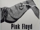 VINYLE 33Trs PINK FLOYD M 502 MUSIK HALLE HAMBURG 25-2-1971 2 LPs  RARE