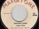 70s Reggae ROCK TONE promise land UK 7