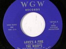 WERP'S: Love's A Fire / Shades Of Blue 45 Hear  (Garage Psych) rare Rock & Pop